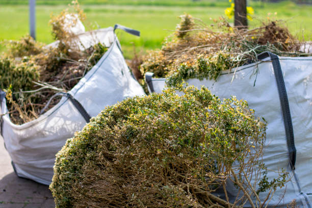 Same-Day Junk Removal Services in Sundance, WY